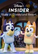 Disney+ Insider: Bluey From Disneyland Resort